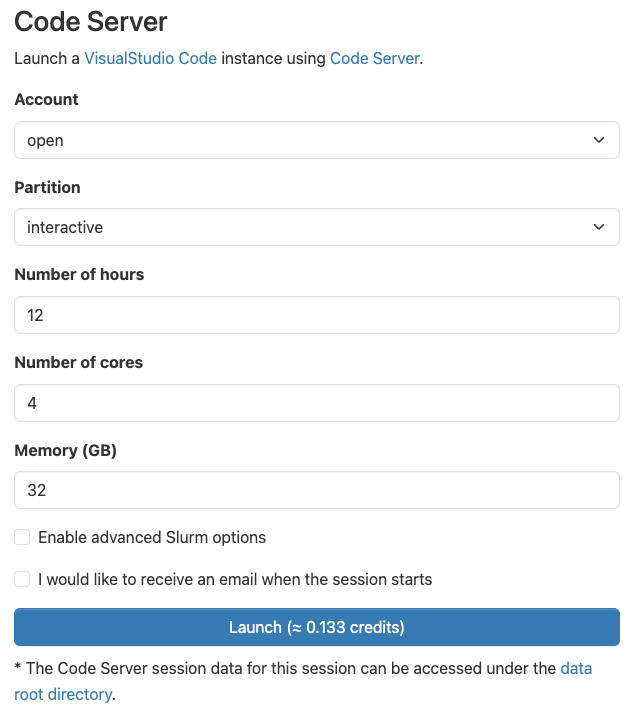 Code server session